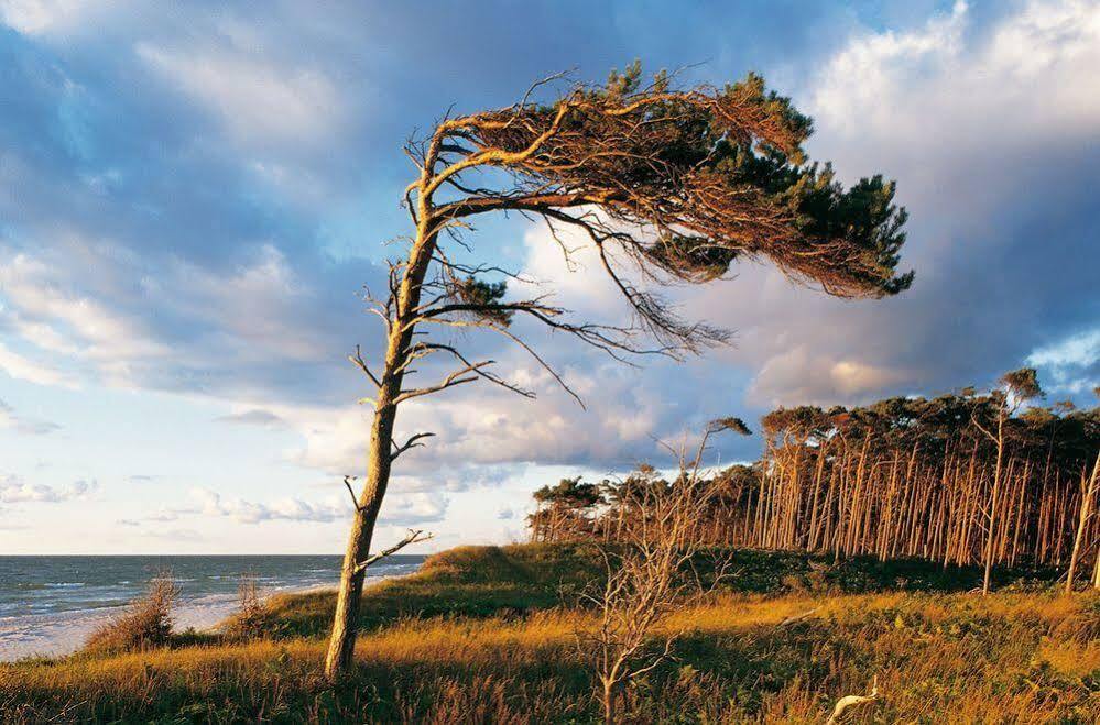 Ferienwohnungen Duenenmeer Дирхаген Экстерьер фото